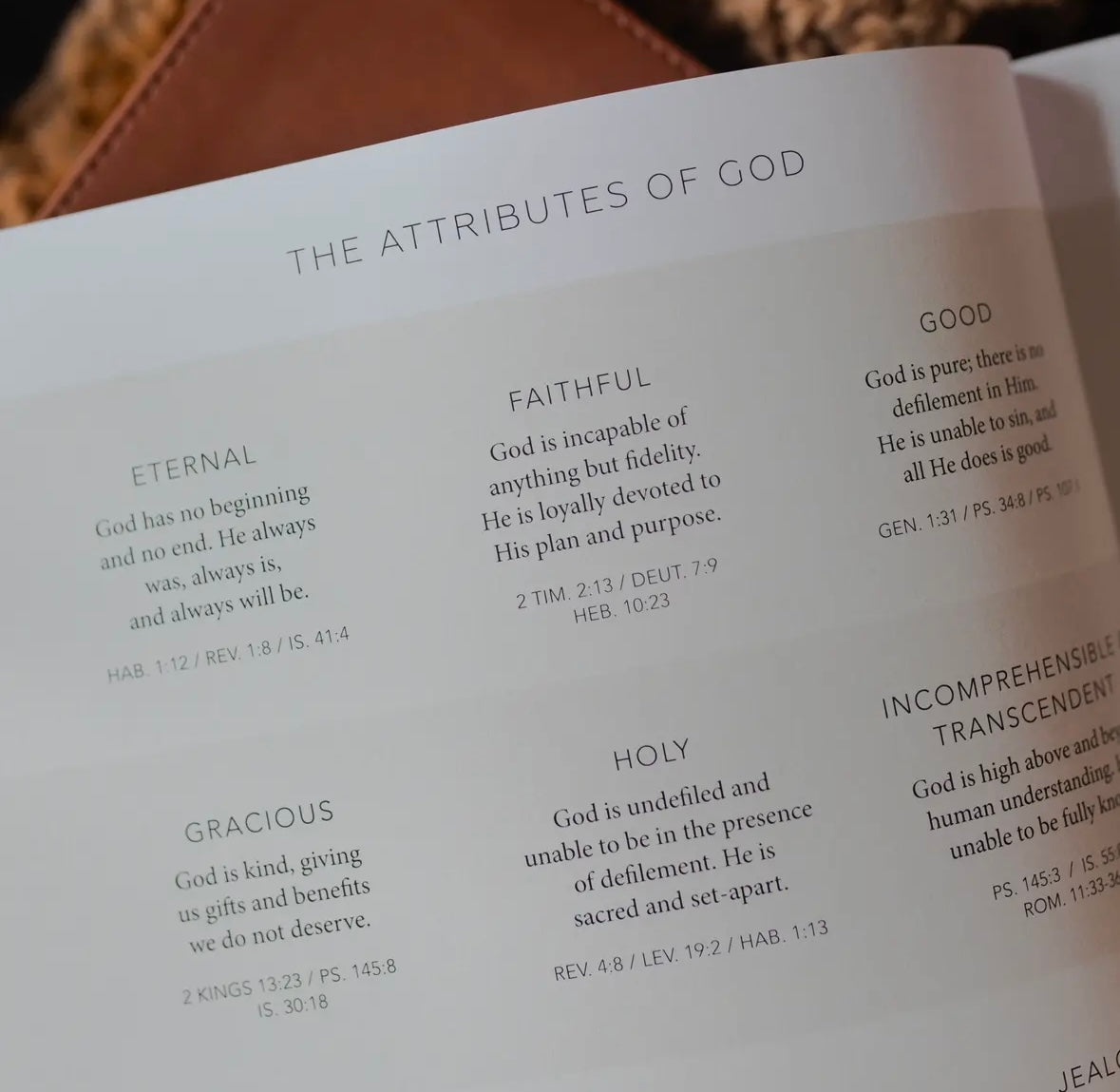 Esther | Seeing God When He Is Silent