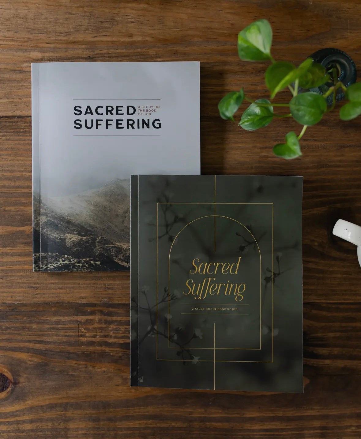 Sacred Suffering | A Study On the Book of Job - Men