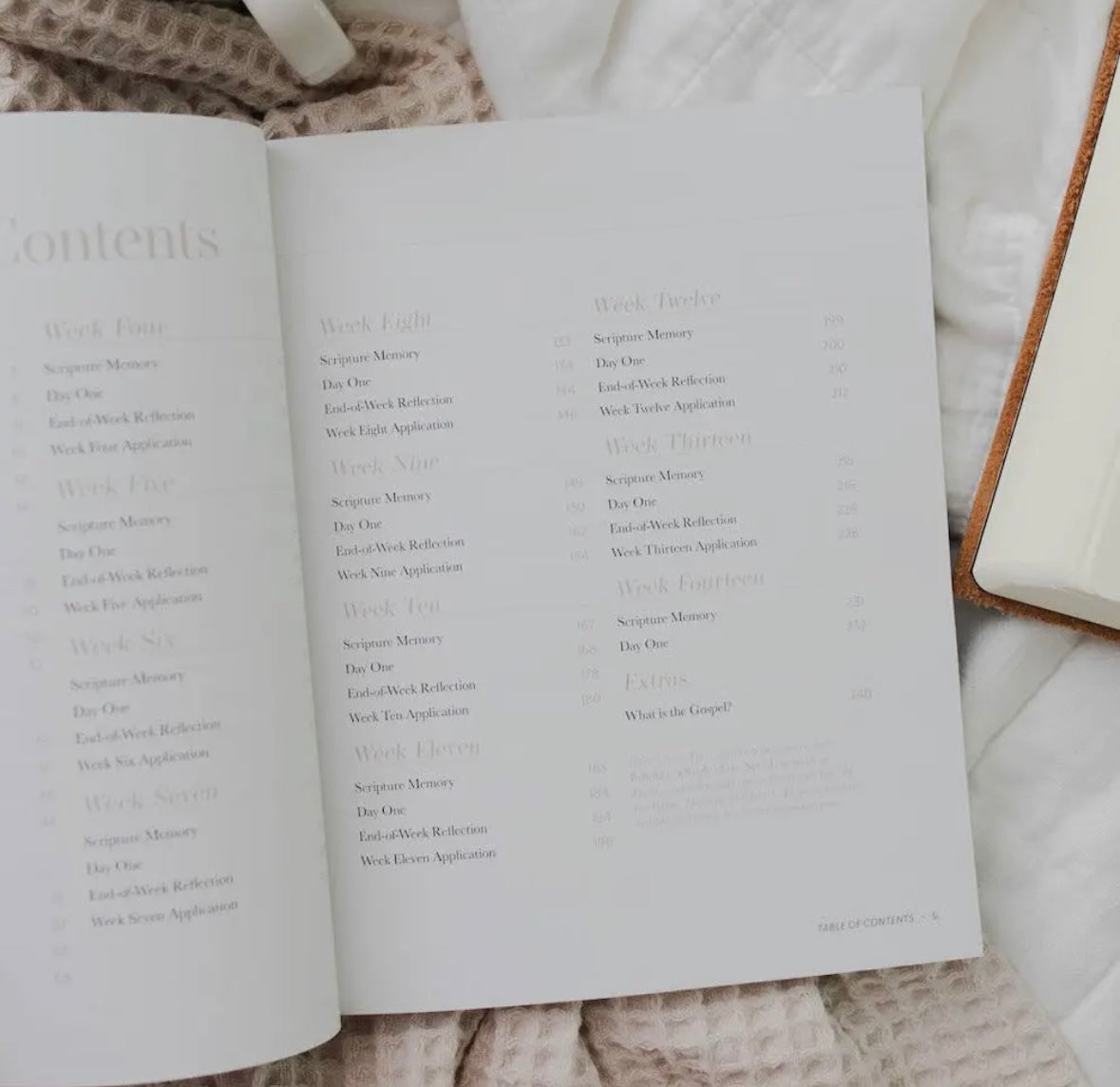 Behold: A Study of the New Testament | Volume 1