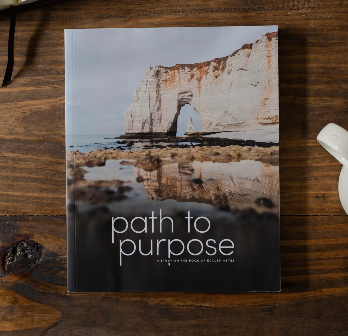 Path To Purpose | A Study On the Book of Ecclesiastes - Men