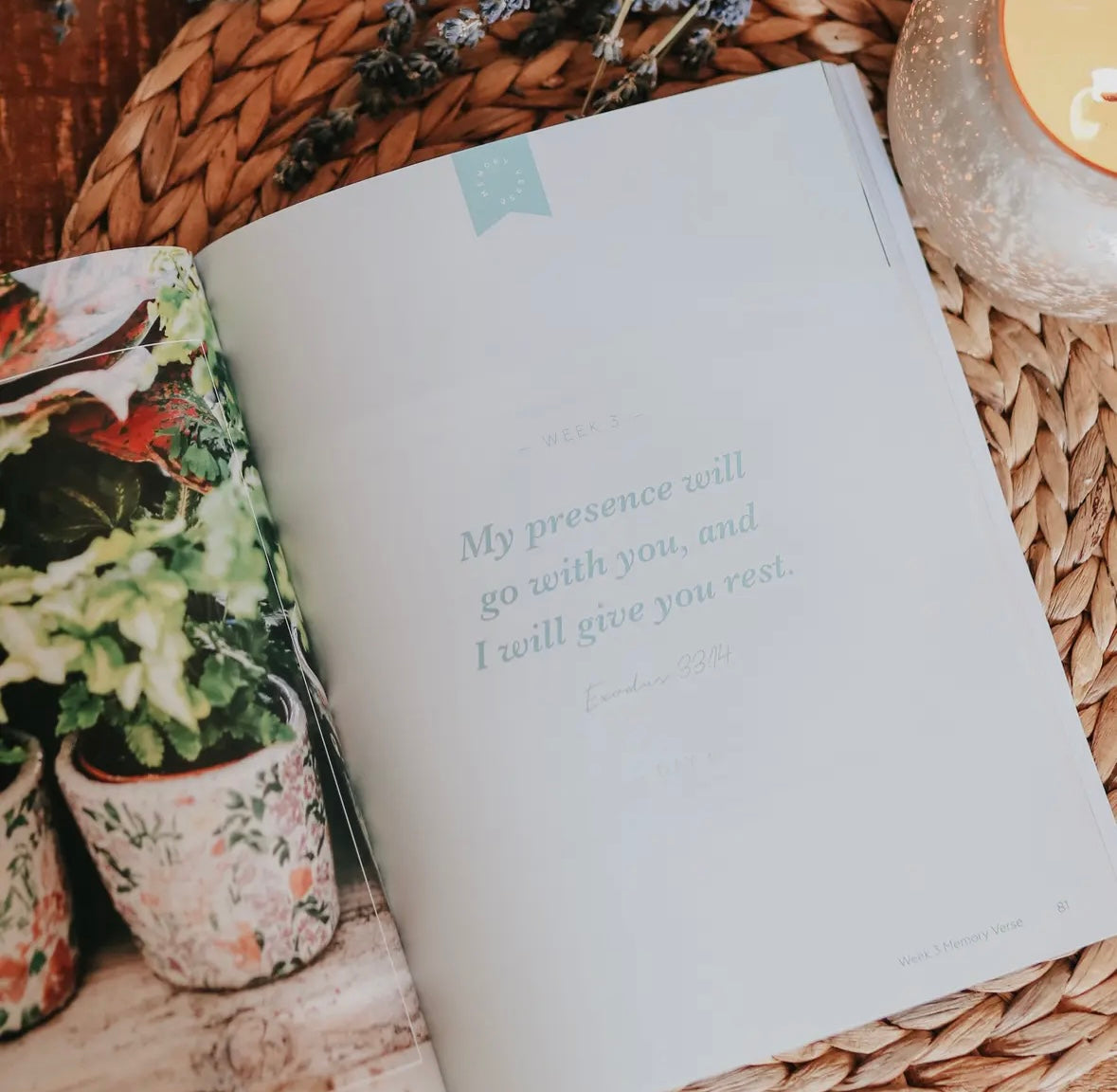 Rest | Eden To Eternity