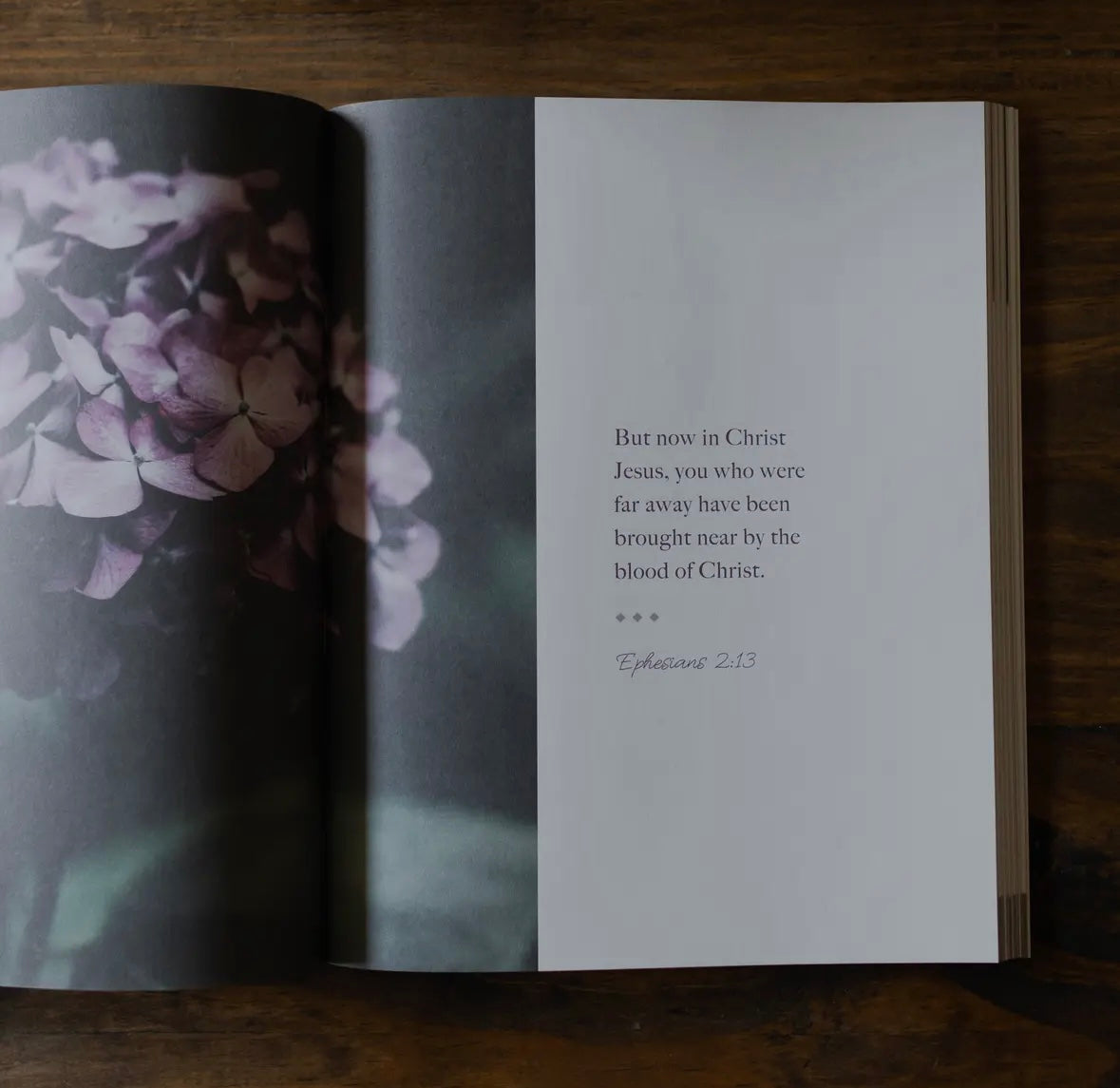 Chosen | Ephesians Study