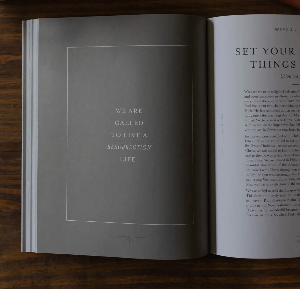 Colossians | Rooted in Him - Men