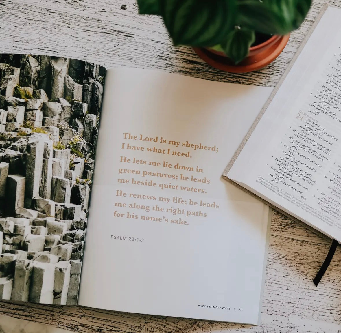 He Leads Me | Psalm 23-Men