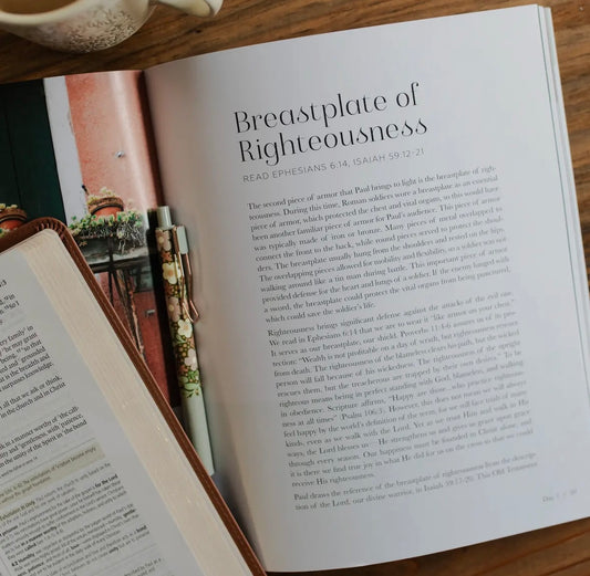 Stand Firm | Armor of God Study