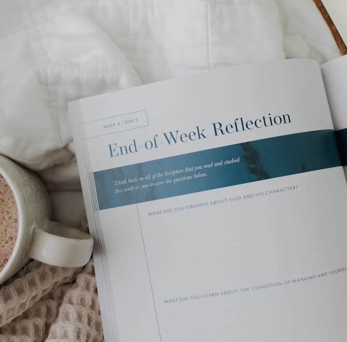 Behold: A Study of the New Testament | Volume 1