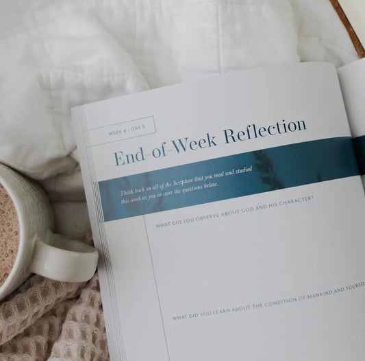 Behold: A Study of the New Testament | Volume 1