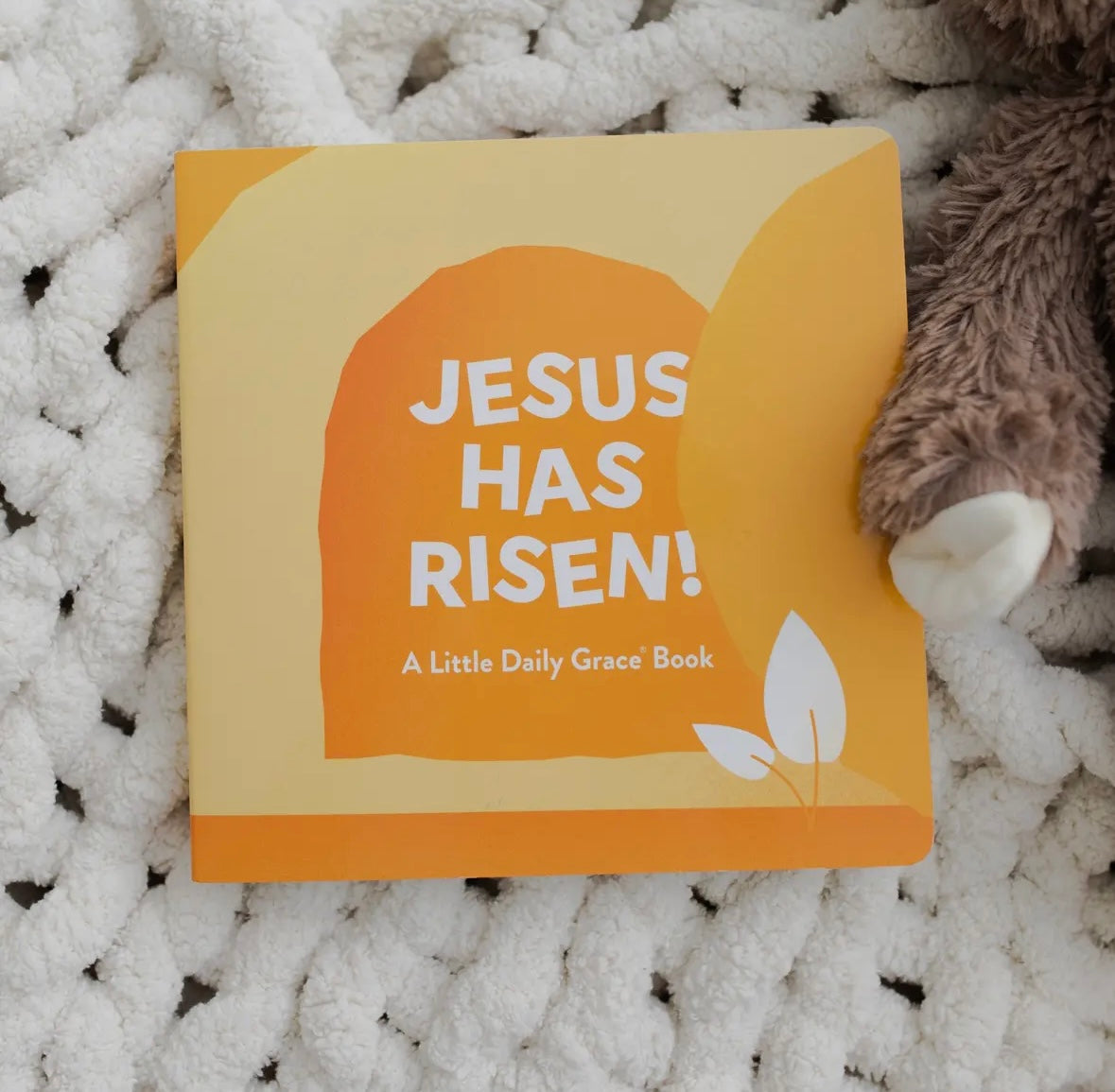 Jesus Is Risen Board Book