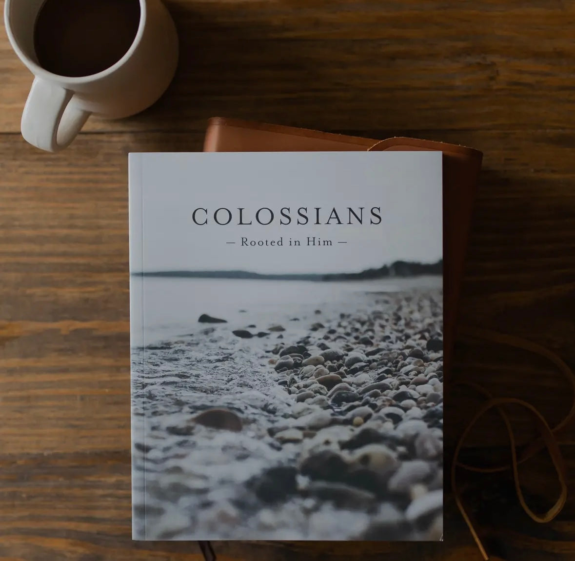 Colossians | Rooted in Him - Men