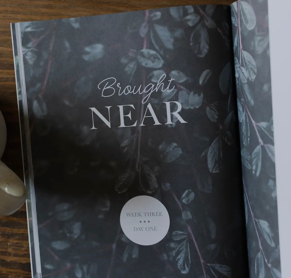 Chosen | Ephesians Study