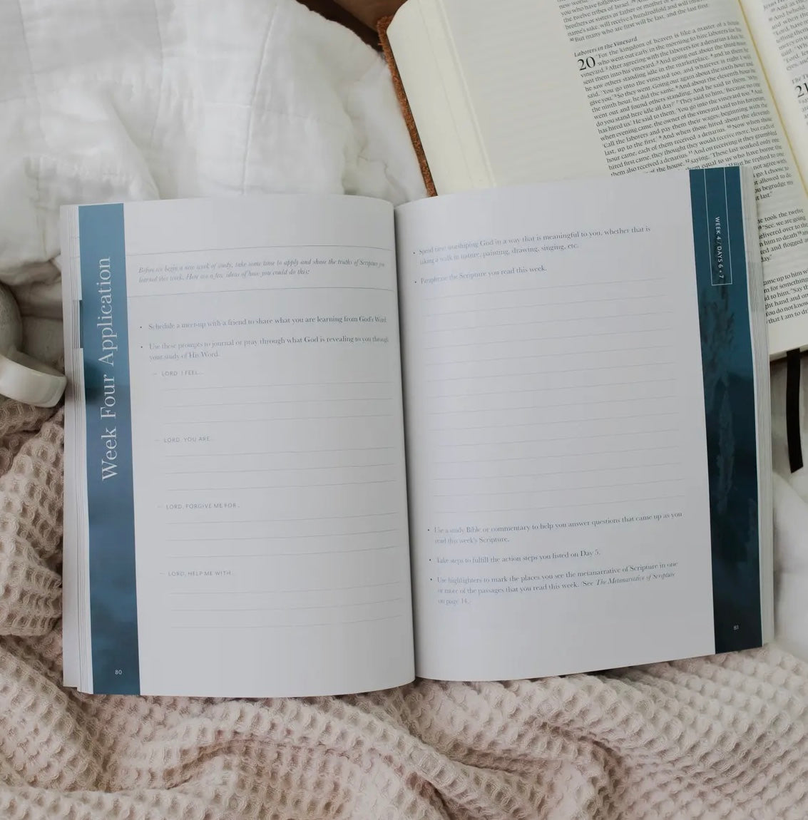 Behold: A Study of the New Testament | Volume 1