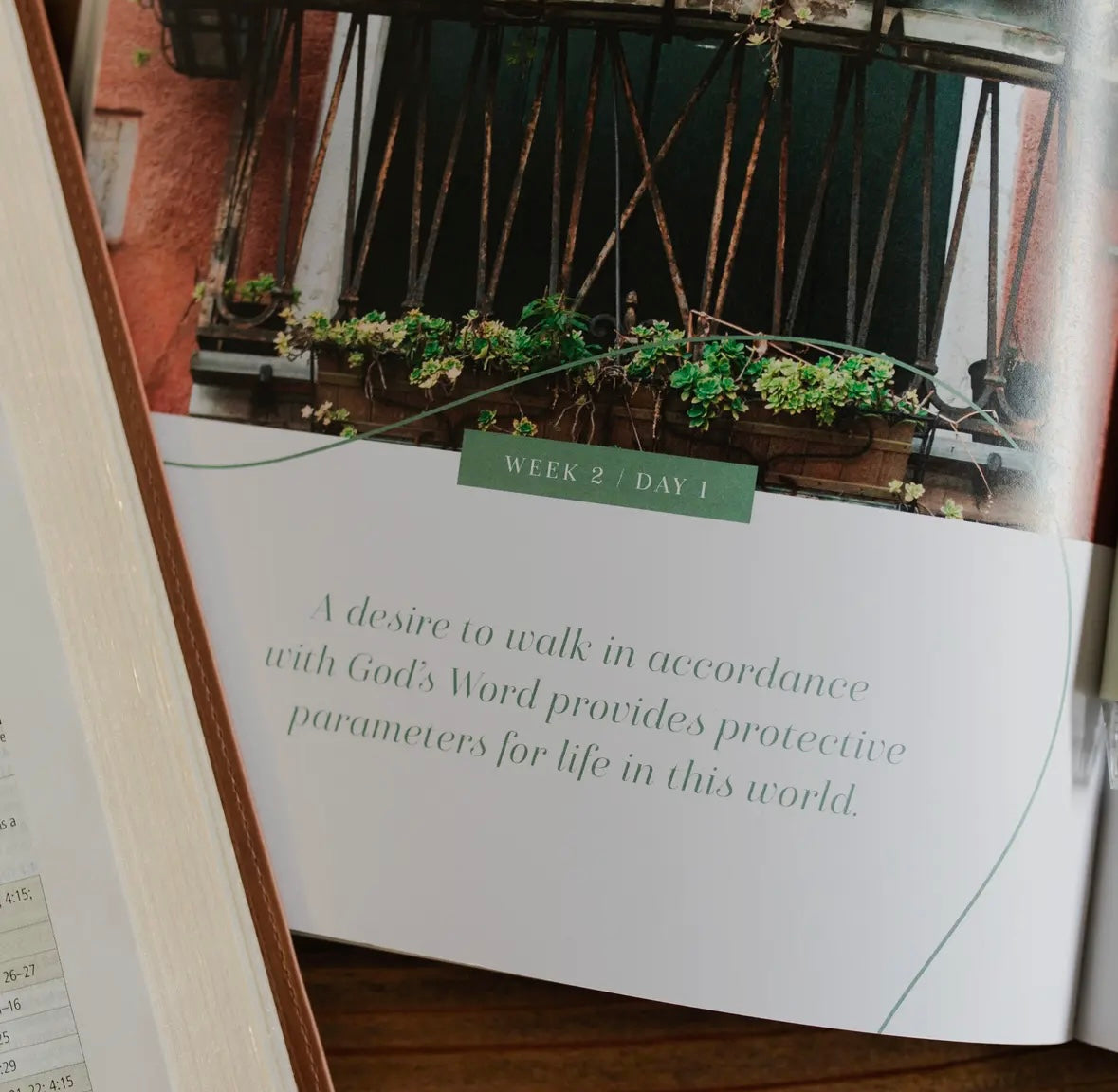 Stand Firm | Armor of God Study