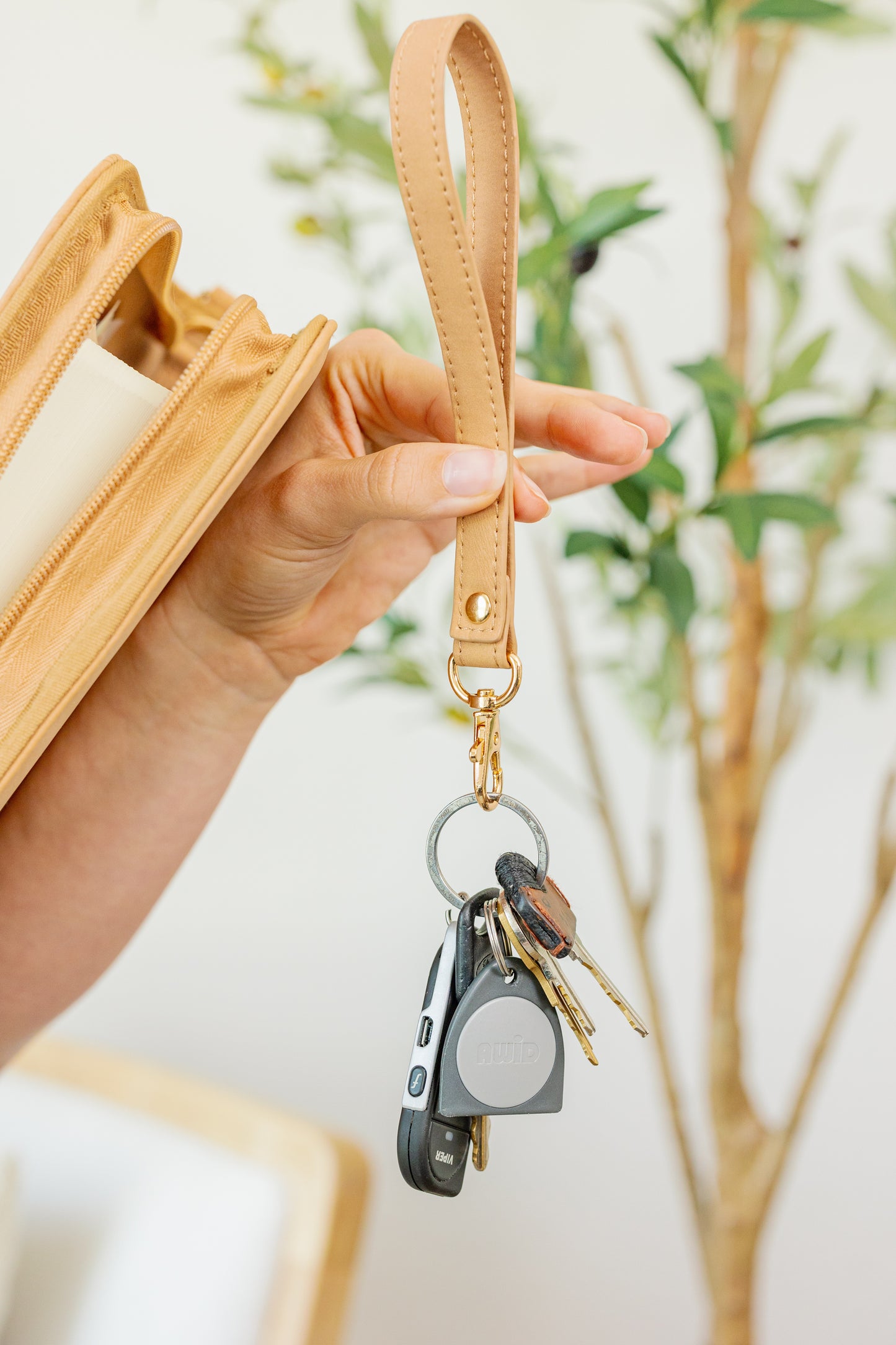 All Things New  | Carmel Bible Cover